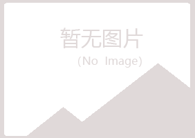 公主岭初夏能源有限公司